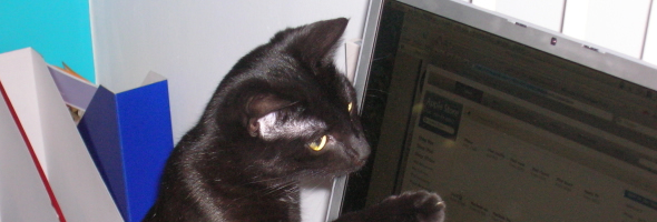 Syd’s Guide to Blogging Part 2: Getting Started