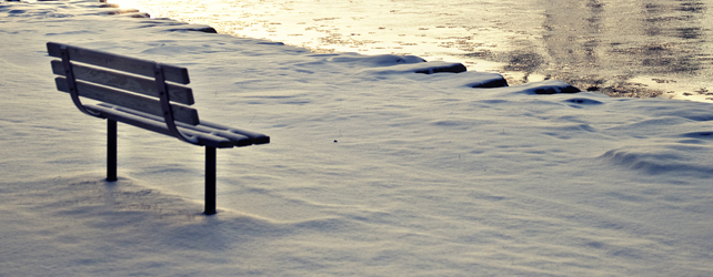 7 Fun Activities to do on the Bench